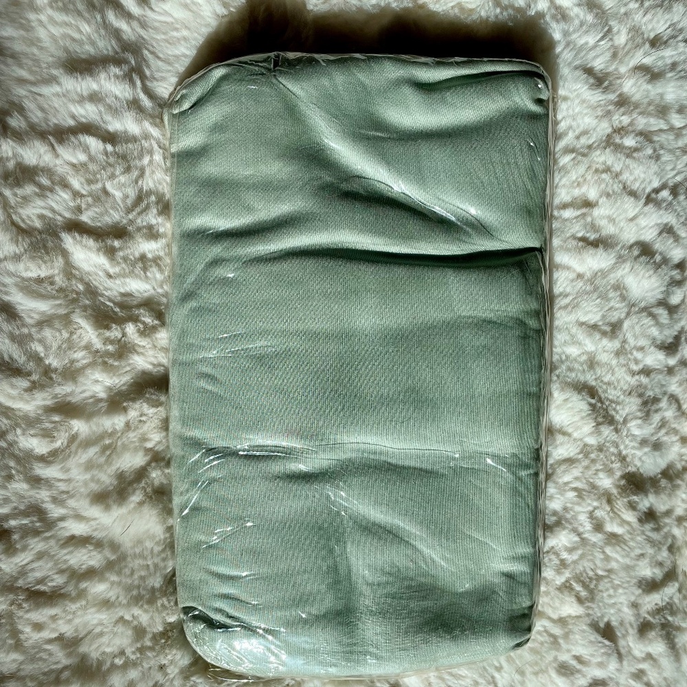 Ralph Lauren Eucalyptus King Cases, NWT